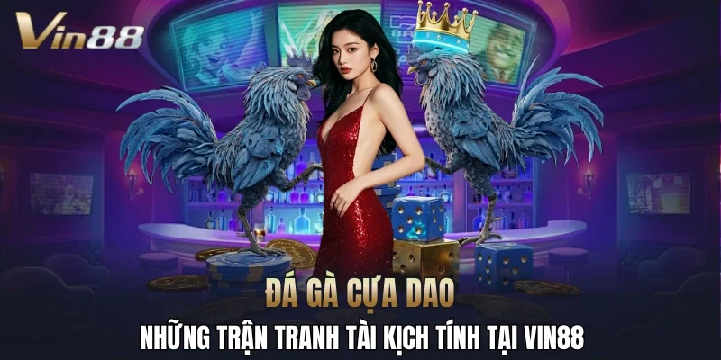 đá gà cựa dao