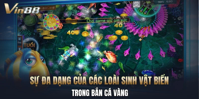 Sự đa dạng của các loài sinh vật biển trong bắn cá vàng